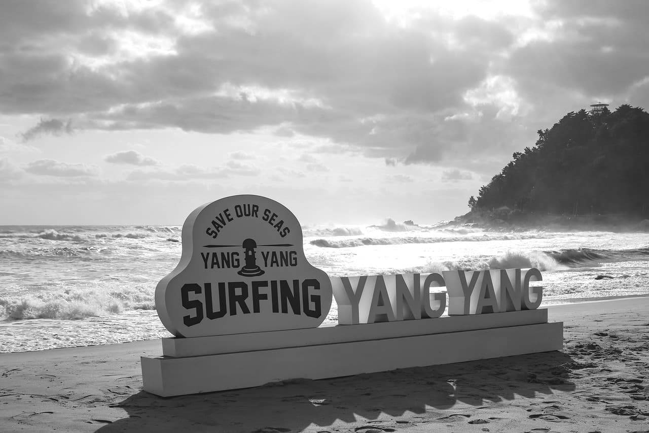 SURFING YANGYANG 조형물